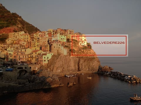 Beautiful villa overlooking the sea Villa in Manarola