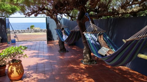 Relaxing under the Cedars, Casa Salgueiros 135/AL
