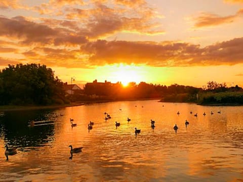 Fisherman's Cottage - Where the Beauty of Nature meets the Cosy Comfort of Home!