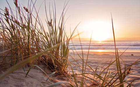 Miles of golden beach on your doorstep