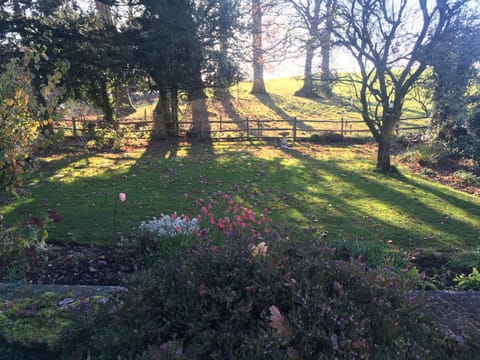 A view of the garden in autumn