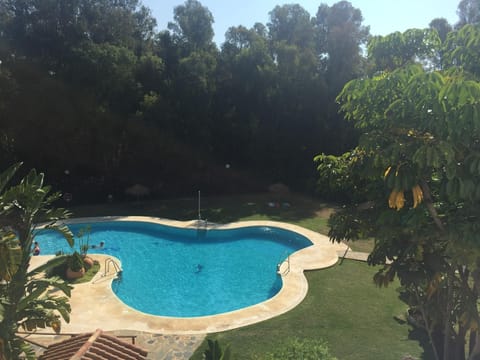 Communal pool and gardens