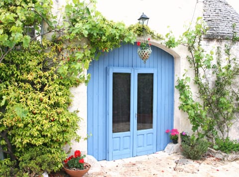 Double doors with vine and bougainvillea