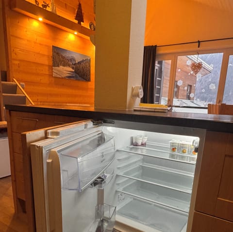 Kitchen area: fridge