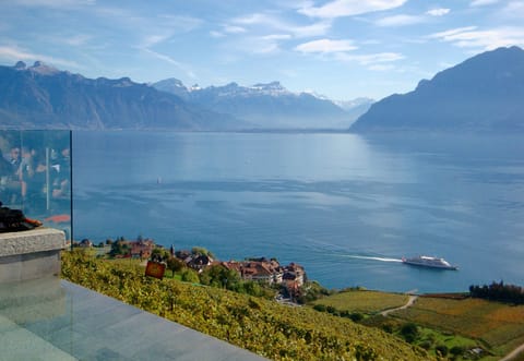 View over the vineyards to Lake Geneva near Bex, about 40 minutes by car.