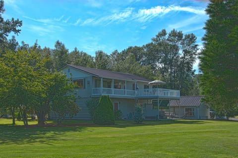 SE view