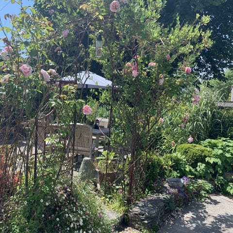 Sunny south west facing garden perfect for alfresco dining at any time of day