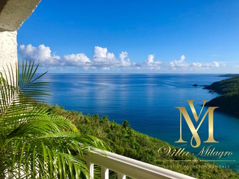 Palm Trees and Ocean Breeze