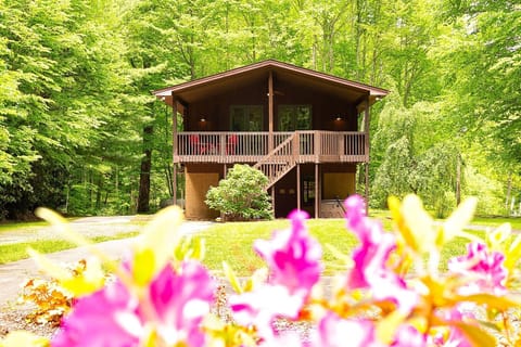 A view of the cabin from the courtyard