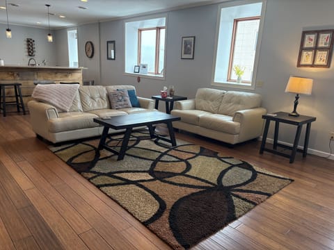 Newly remodeled loft in downtown Decorah. Large living room & open kitchen.