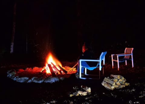 campfire at night