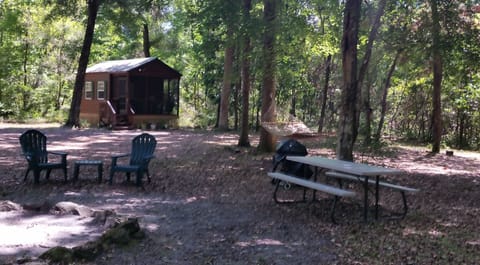 relax in hammock/barbque/campfire in private, park like setting