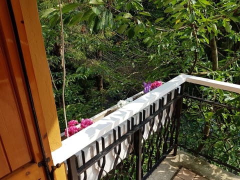 view from the balcony