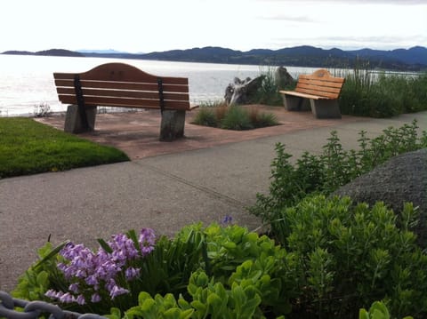 Sea wall in Davis Bay