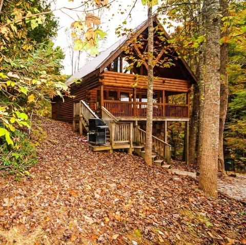 Nestled in the woods between Gatlinburg and Pigeon Forge and minutes to either