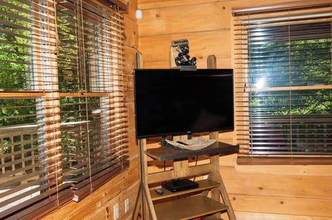 Smart TV on rolling cart