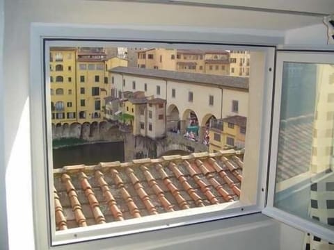 view from the living room