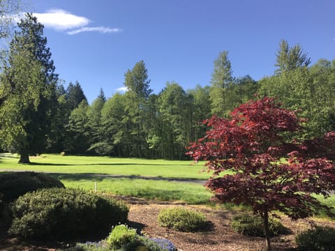 Patio View looking toward The Courses (The Resort at the Mountain) Foxglove 9