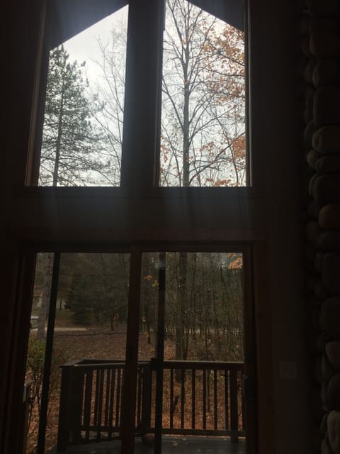 windows to the ceiling to enjoy the surrounding beauty