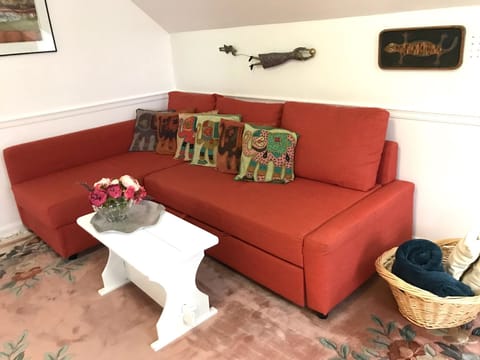 Living room with large couch. Pulls out to full size bed. 