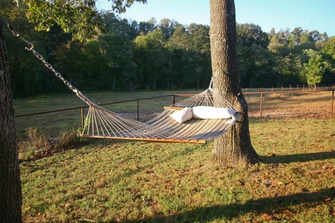 Perfect Spot to read a book