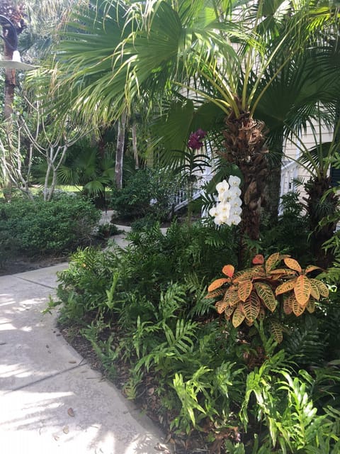 Front Yard Foliage.