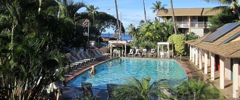 Practice your snorkeling and enjoy time at the pool!