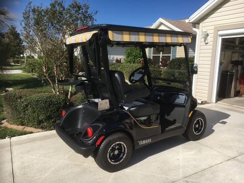 The 2018 Yamaha gas cart.
It has many nice features for you to enjoy.