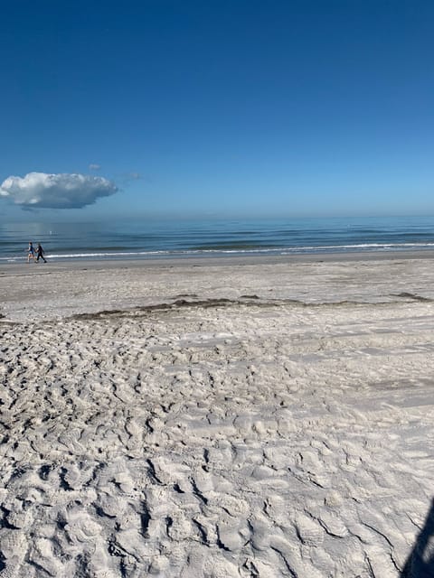 view from back door.  this is low tide
