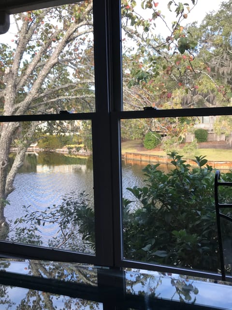 View from kitchen table