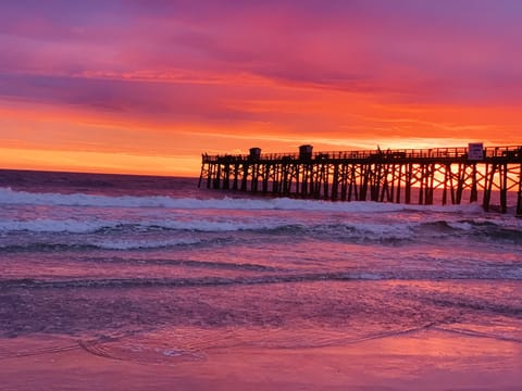 “ Another Day in Paradise! “ 🥰❤️🥰