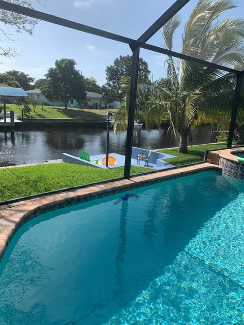 Boat dock and coconut tree