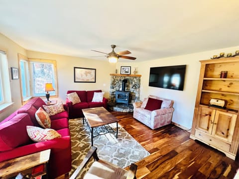 Living room with gas fireplace and upgraded TV