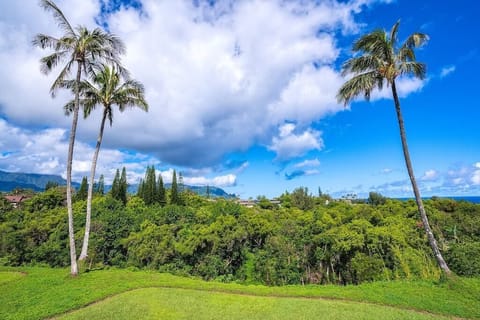 The 180* View of Mountains, Waterfalls, Jungle Valley & Distant Ocean Views