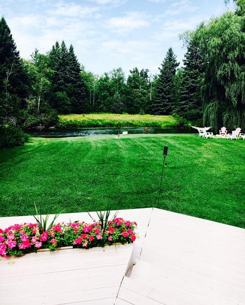 Backyard leading to the river