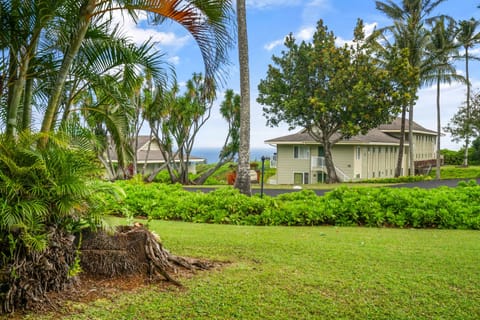 View from Patio & Living Room