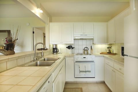 The Fully Equipped Kitchen is Light and Bright
