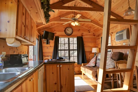 Living room and ladder to the loft - kids LOVE it.  We like them safe up there.