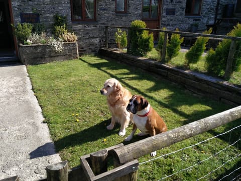 Dog proof, private garden.