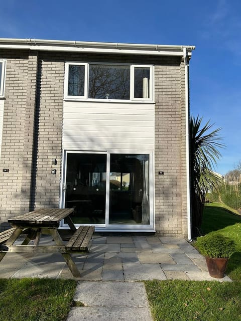 The palm has grown and the sky is blue