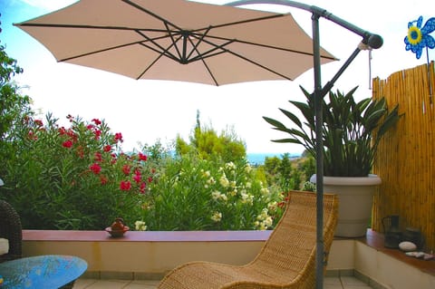 Oleanders in blossom under the terrace.