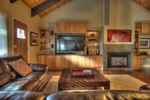 Living Room and Fireplace