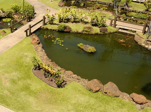 Tranquil Koi ponds below our lanai