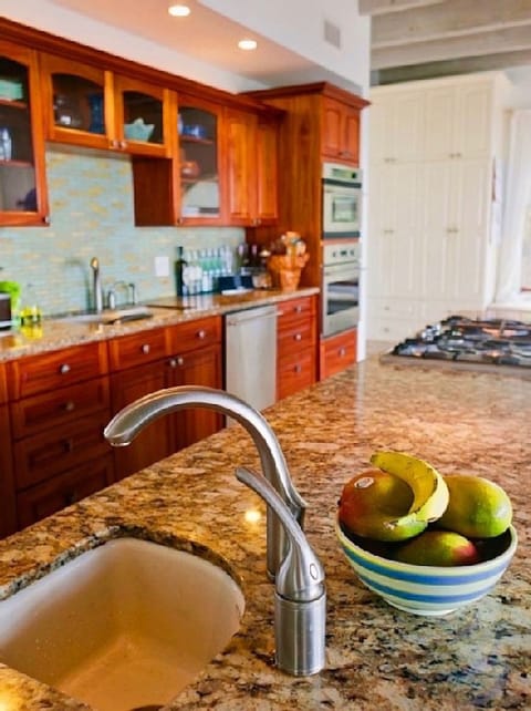 Fully equipped chef inspired kitchen. Three Palms is set up to entertain. 