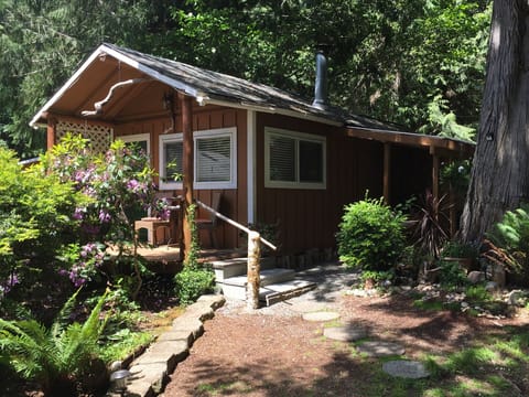 Welcome to the cabin!