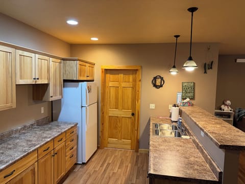 Lower level kitchen area with sink and fridge.