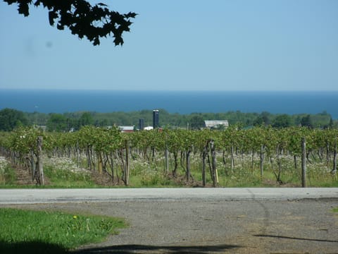 The Home Stead House at Arwen Farms Farm Stay in Lake Erie