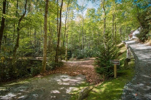 Af4056af 0dd3 4c9f 817b 492d052bff67