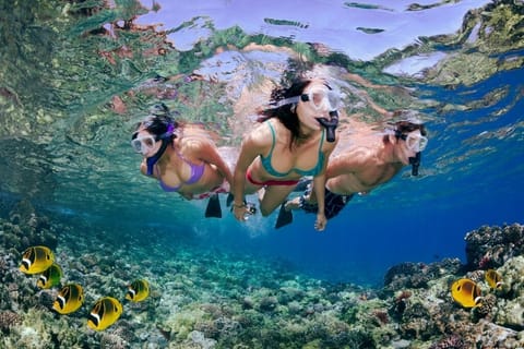 Snorkeling time