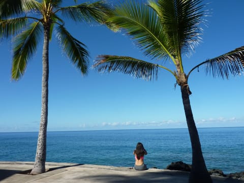 Your view from the lanai at the townhouse overlooking the Pacific Ocean.  